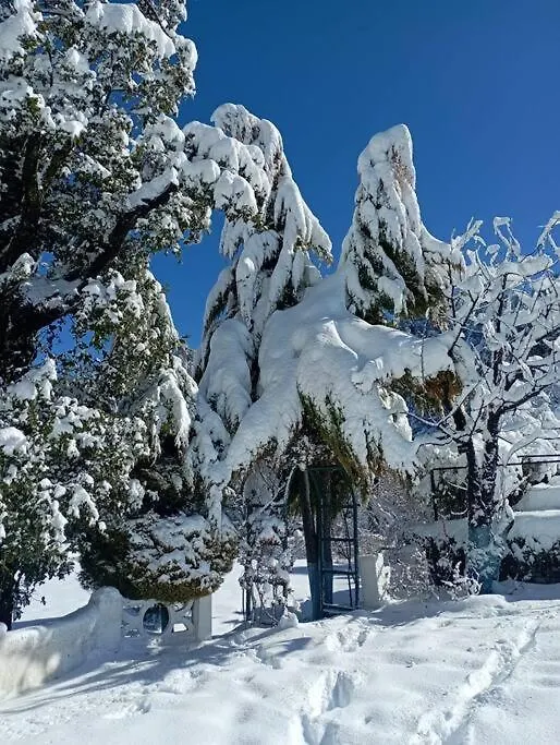 Apartment Daisy Cottage At Mashobra'S Private Heritage Shimla India
